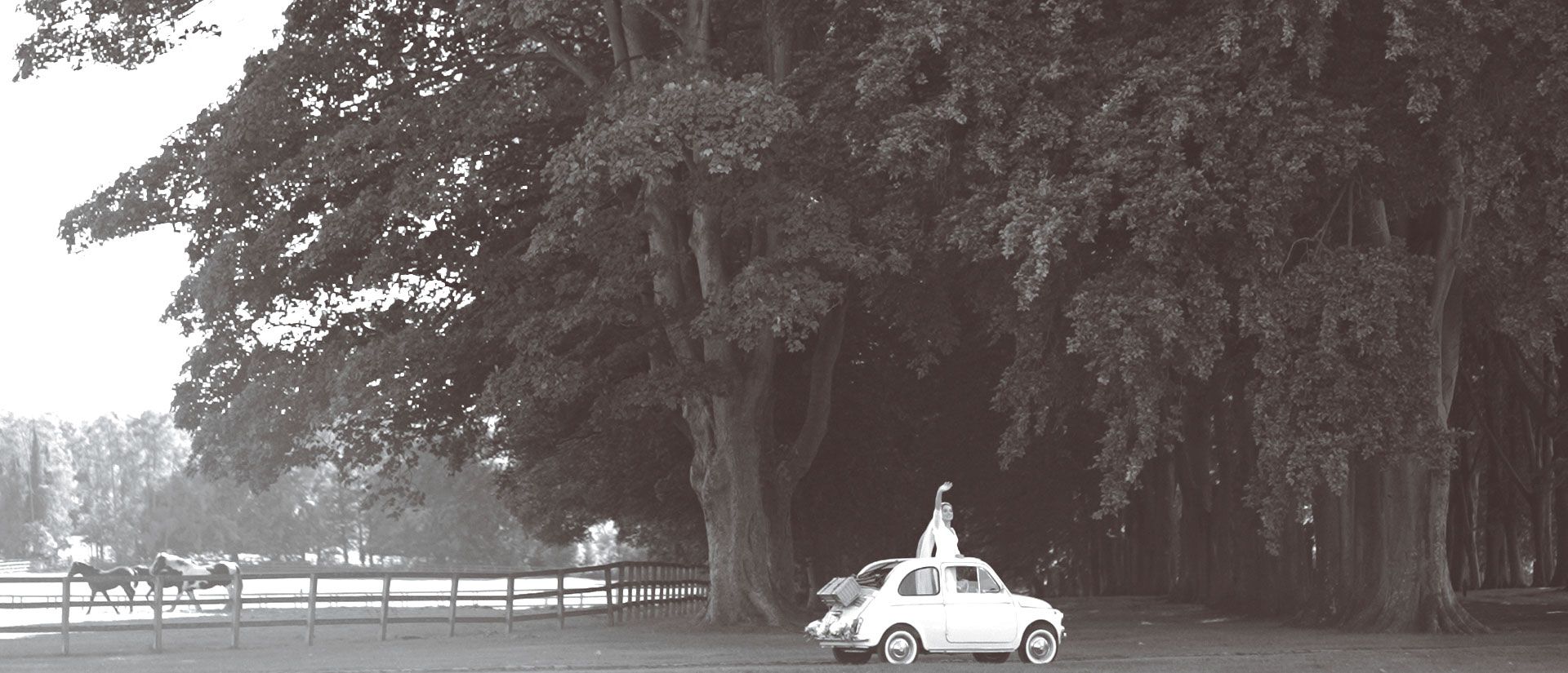 Bride & Groom Send off at Lucknam Park Wedding