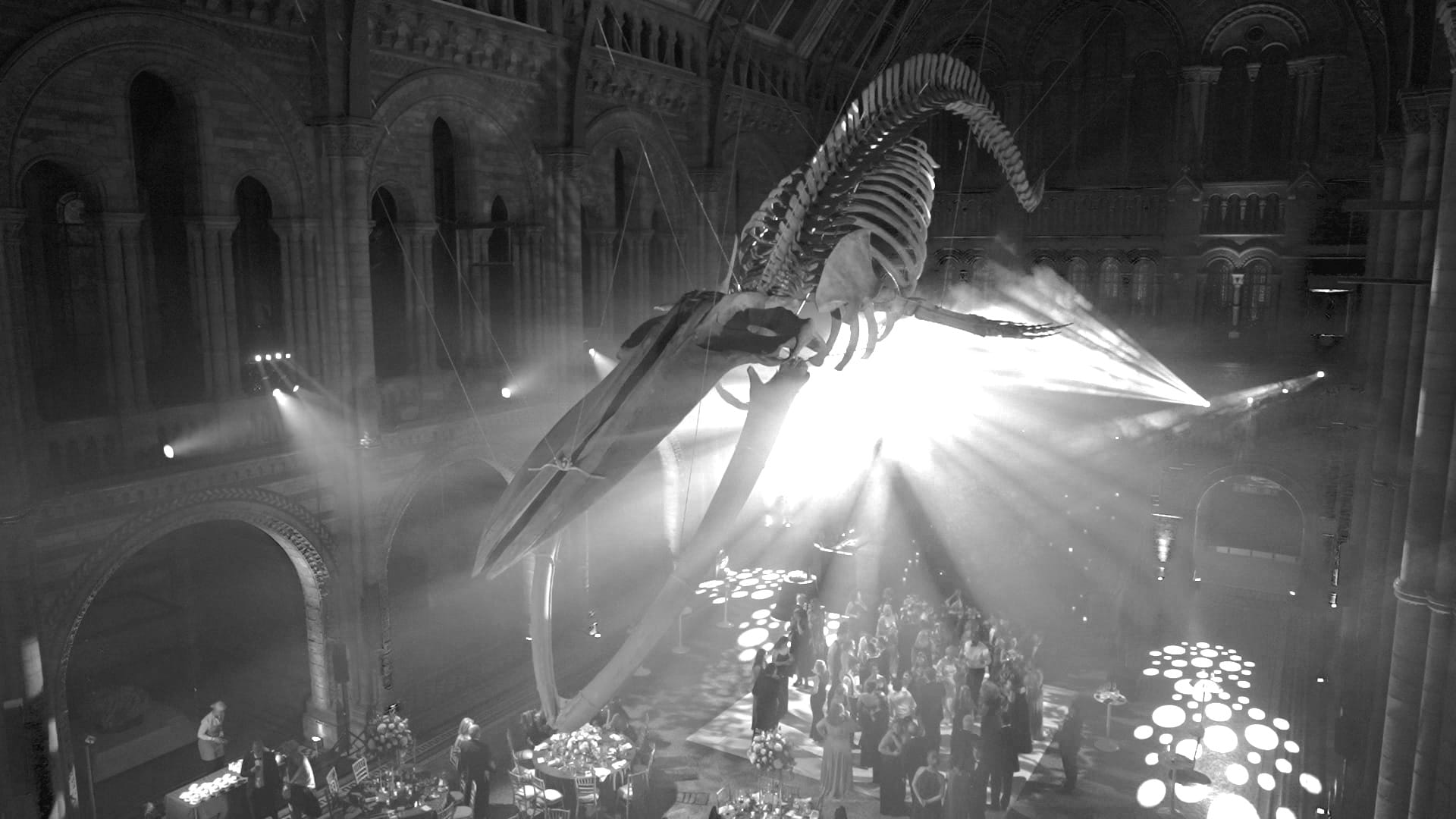 Natural History Museum Wedding Videographer